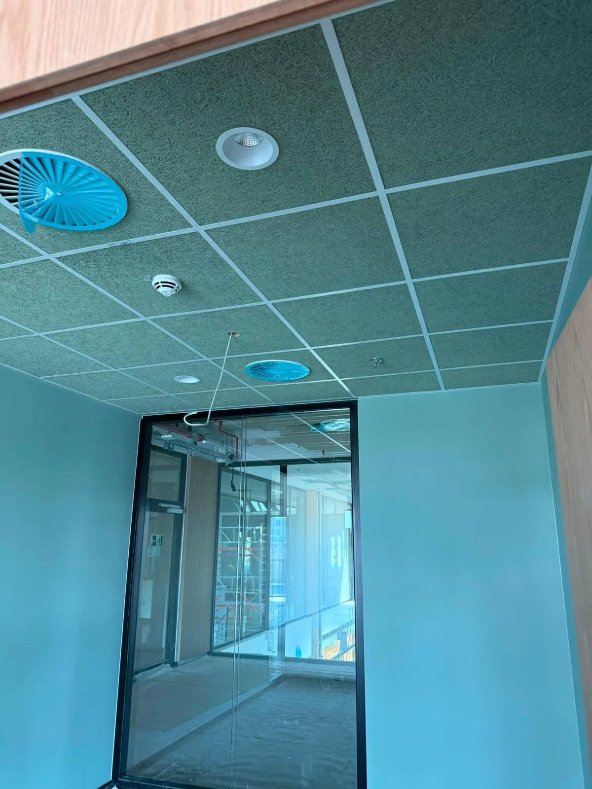 Green wood-wool tile ceiling — 1