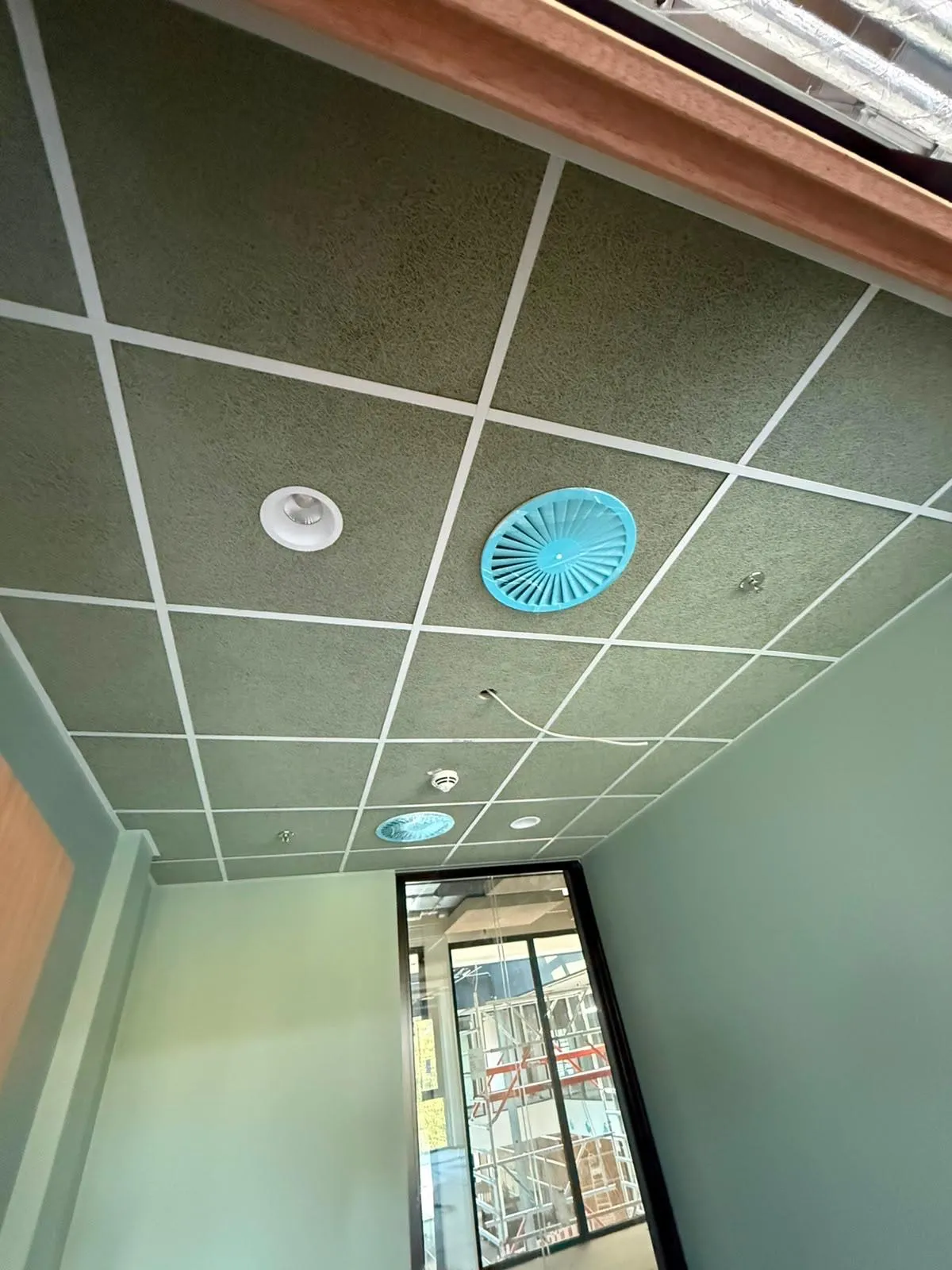 Green wood-wool tile ceiling — 2
